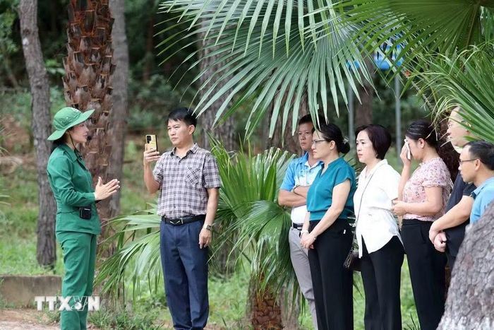 Du khách lắng nghe thuyết minh về những chiến công và sự hy sinh của lực lượng thanh niên xung phong tại Ngã ba Đồng Lộc. (Ảnh: Hữu Quyết/TTXVN)