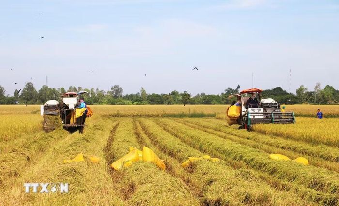Các chính sách đột phá cùng sự khẩn trương trong triển khai mang lại cho người dân nhiều kỳ vọng về chất lượng cuộc sống mới. (Ảnh: TTXVN/Vietnam+)