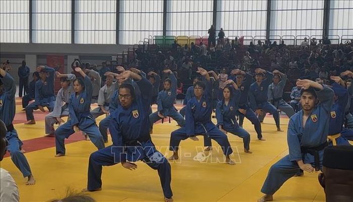 Một tiết mục biểu diễn võ thuận.