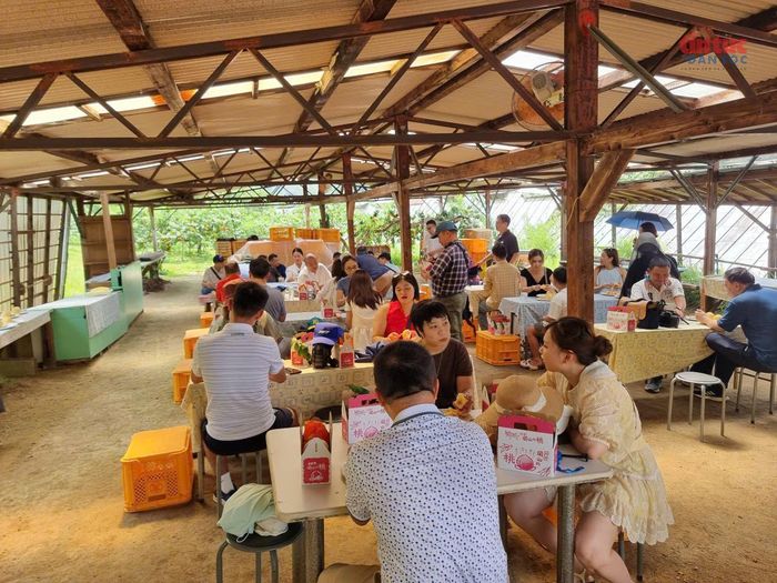 Thưởng thức thành quả sau thu hoạch.