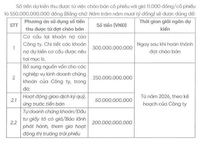 Phương án sử dụng số tiền thu được từ đợt chào bán riêng lẻ (Ảnh: APG).