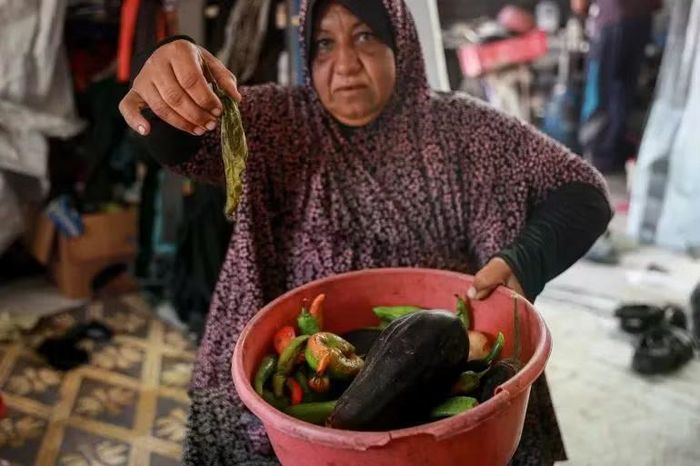 Manal Hamed cho biết rau tươi bị hỏng ngay ngày hôm sau do thời tiết quá nóng và thiếu tủ lạnh. Ảnh: AJ.