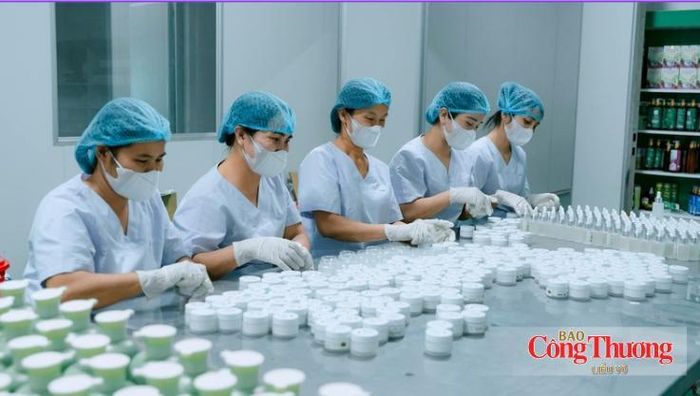 Tỉnh Nghệ An hiện có hơn 18.000 doanh nghiệp đang hoạt động, đóng góp quan trọng vào sự phát triển kinh tế - xã hội.