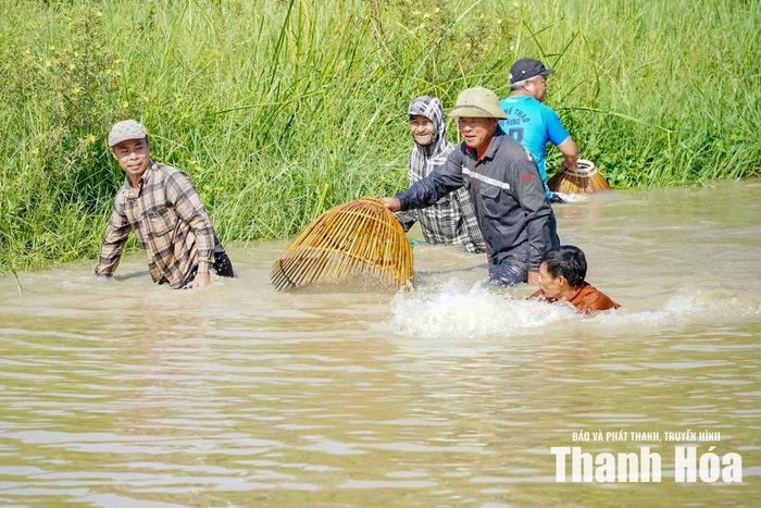 Không ít du khách lần đầu trải nghiệm cũng xắn quần xuống ao, thích thú cảm nhận một công việc tưởng chừng bình dị nhưng đòi hỏi sự nhanh nhẹn và khéo léo.