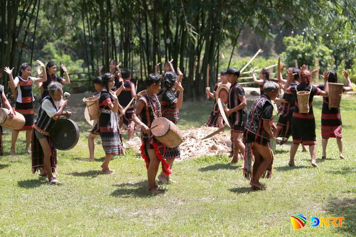 Dưới rặng tre xanh, cộng đồng Cơ Tu cùng biểu diễn điệu tung tung da dá. Ảnh: TRƯỜNG AN
