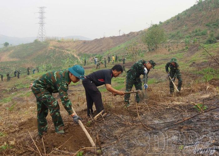 Lực lượng chức năng hỗ trợ người dân đào hố trồng cà phê, mắc ca.