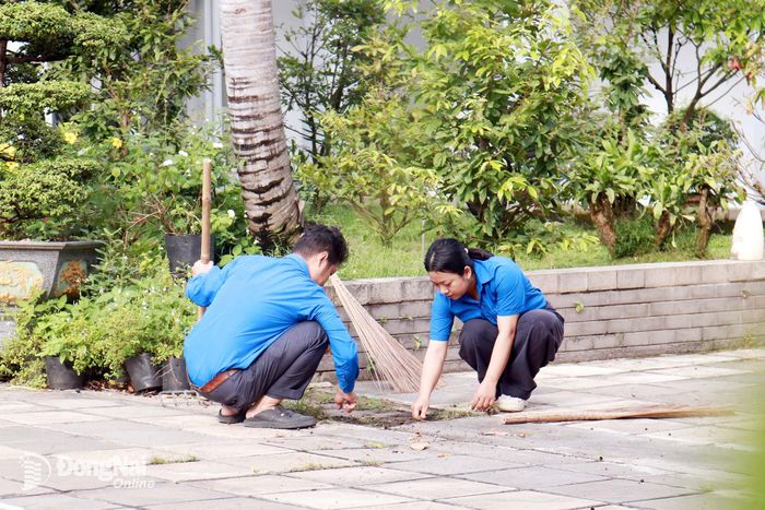 Các đoàn viên quét dọn, thu gom lá cây, nhổ cỏ trong khuôn viên cơ quan. Ảnh: Minh Hạnh