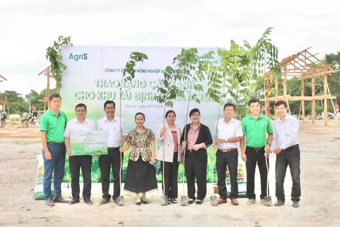  Công ty cổ phần Nông nghiệp AgriS Gia Lai trao tặng 50 cây giáng hương cho khu tái định cư. Ảnh: Vũ Chi 
