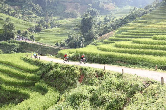 Cung đường đua uốn lượn bên những sóng lúa vàng thơ mộng.