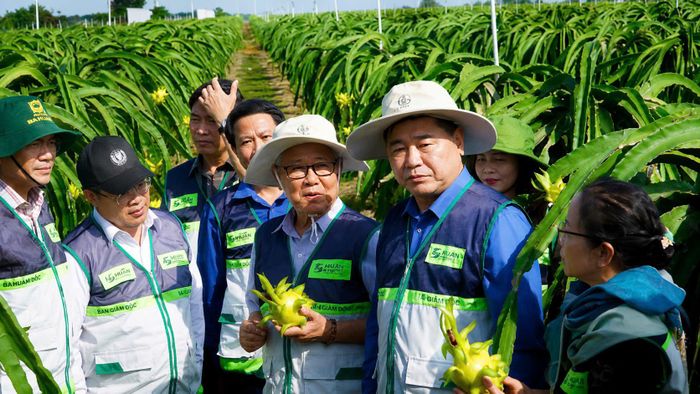 Trung tâm Khuyến nông quốc gia tham quan tại HTX Thanh long hữu cơ Trung Bình
