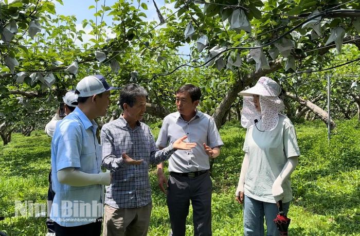 Chuyến học tập kinh nghiệm nông nghiệp tại thành phố Asan (Hàn Quốc) nơi nông dân canh tác dựa trên tấm "bệnh án đất" và công thức quy đổi sinh khối chính xác.