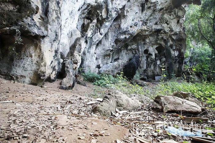 Khu vực di tích đang trong tình trạng bỏ hoang.