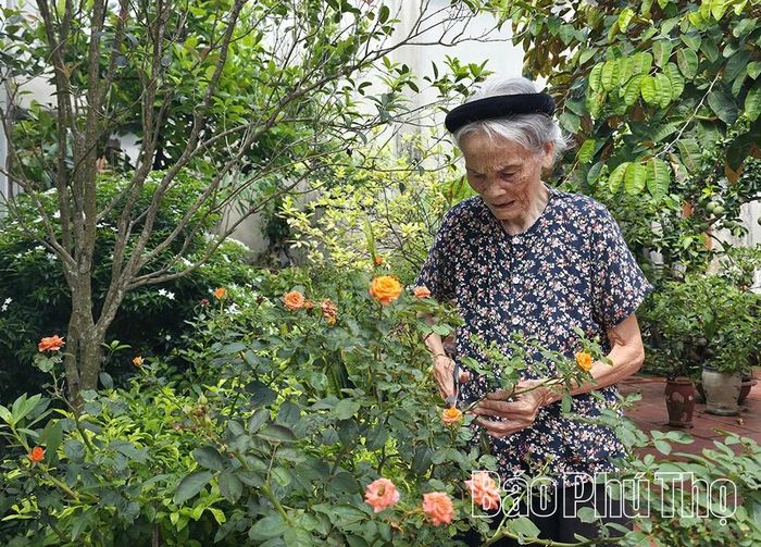 Dù đã ở tuổi xưa nay hiếm, bà Đỗ Thị Đắc (vợ liệt sĩ Phan Văn Thụ) vẫn miệt mài chăm sóc vườn hoa, làm điểm tựa cho con cháu.