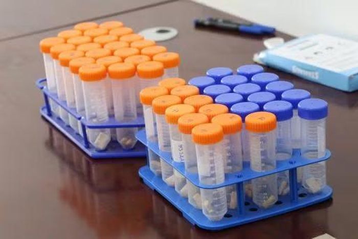 Những mẩu xương của hài cốt liệt sĩ được đánh số thứ tự. bảo quản trong hộp kín.