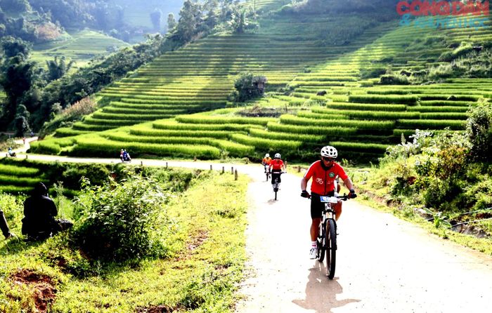 Đường đua dài 25km, với những ruộng bậc thang lúa vàng thật đẹp. Ảnh: Quốc Hồng