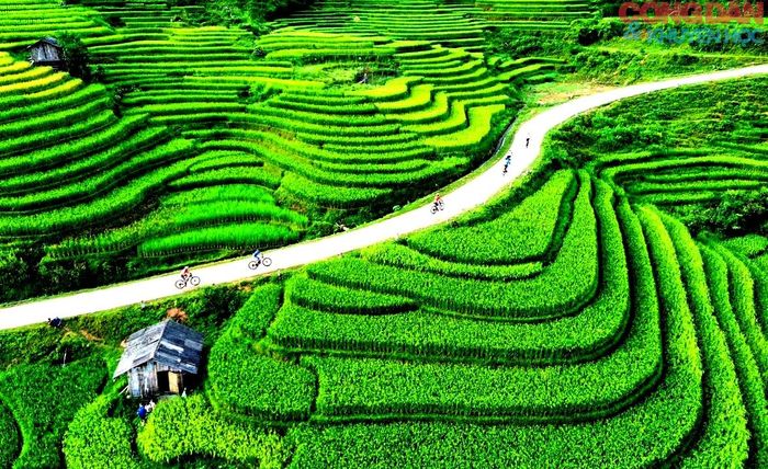 Cung đường đẹp Mường Bo dưới chân dãy núi Hoàng Liên hùng vĩ. Ảnh: Quốc Hồng