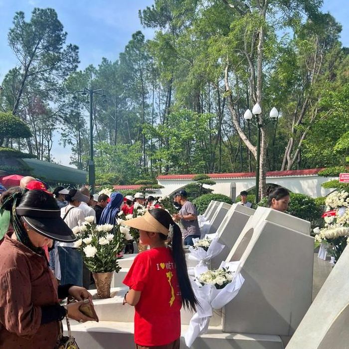 Những đóa hoa trinh trắng thẳng hàng ở ngã ba Đồng Lộc. 