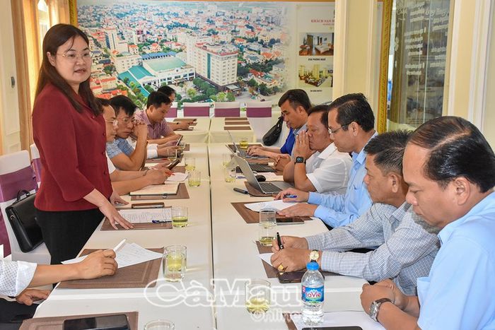 Đồng chí Hà Lan Anh, Phó Chủ tịch UBND tỉnh Ninh Bình, phát biểu ý kiến tại buổi làm việc.