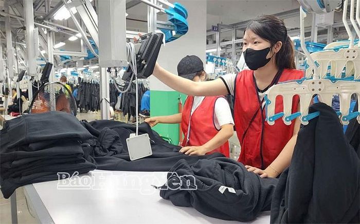 Dây chuyền may của Công ty TNHH Capital Holding Development, Cụm Công Nghiệp Quý Ninh. Ảnh nguồn Báo Hưng Yên