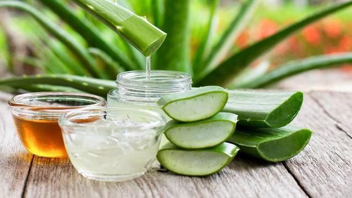 Nha đam ngâm mật ong không chỉ là một món ngon mà còn mang lại nhiều lợi ích cho sức khỏe, đây là một lựa chọn tuyệt vời cho lối sống lành mạnh.