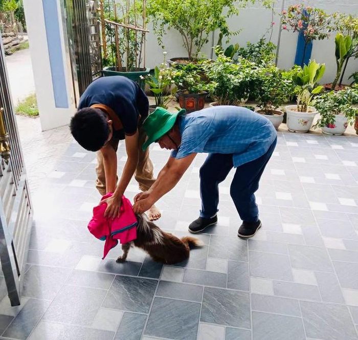 Cơ quan chức năng tổ chức tiêm phòng cho đàn chó, mèo trên địa bàn. Ảnh: T.L