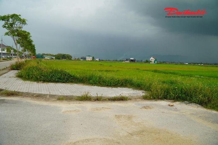 Khu đất đưa ra đấu giá thuộc vùng quy hoạch khu dân cư Lối Vại, thôn Vĩnh An (cũ) xã Toàn Lưu. Ảnh: HN.