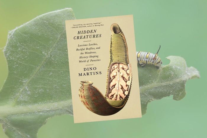  Cuốn sách Hidden Creatures: Luscious Leeches, Bashful Botflies and the Wondrous, History-Shaping World of Parasites của nhà côn trùng học Dino Martins. Ảnh: Science Friday. 