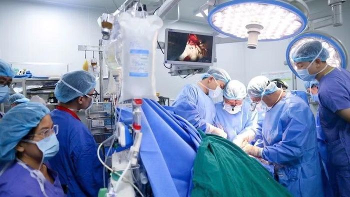 Các bác sĩ Bệnh viện Hữu nghị Việt Đức thực hiện ca ghép tạng.