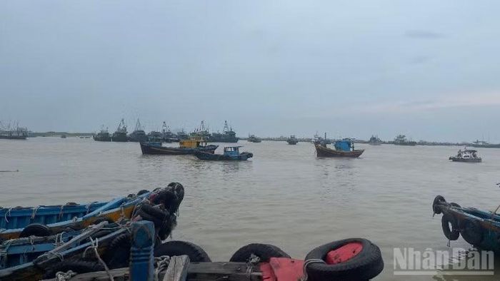 Cửa biển La Gi thường xuyên bồi lắng.