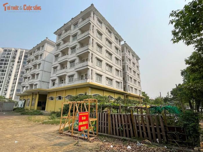 Phần đất xung quanh ba tòa nhà hiện được nhiều người dân tận dụng để trồng rau. Các luống rau được chia thành từng khoảnh nhỏ, phủ kín một phần diện tích vốn thuộc khuôn viên dự án.