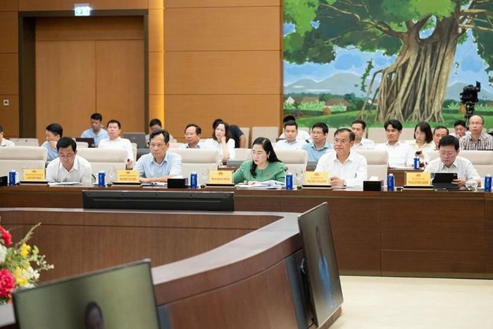  Các đại biểu tham dự phiên họp.