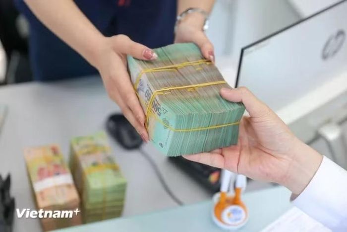 Ảnh minh họa (Nguồn: Vietnam+)