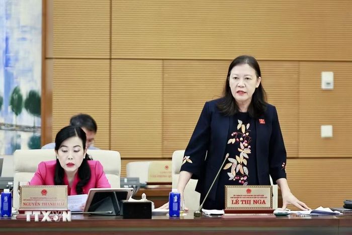 Chủ nhiệm Ủy ban Dân nguyện và Giám sát của Quốc hội Lê Thị Nga phát biểu. (Ảnh: Doãn Tấn/TTXVN)