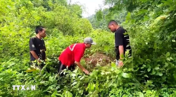 Người dân nước bạn Lào cung cấp vị trí có một phần mộ nữ liệt sỹ Việt Nam ở huyện Sepon, tỉnh Savannakhet (Lào). (Ảnh: TTXVN phát)