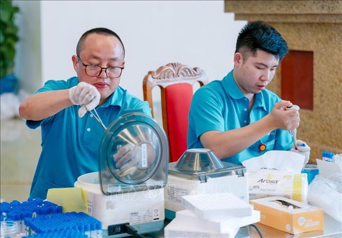 Nhân viên y tế kiểm tra mẫu máu của người đăng ký hiến máu trước khi thực hiện hiến máu tình nguyện.