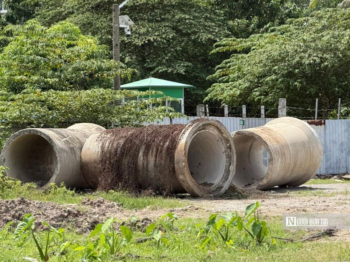 Một số cống hộp nằm phủ rêu sau thời gian dài vẫn chưa được sử dụng tới.