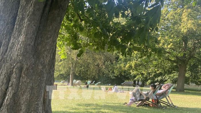 Các công viên ở London trở thành nơi "trú ẩn tự nhiên" trong thời gian Cơ quan khí tượng quốc gia Anh ban hành cảnh báo đỏ vì nắng nóng. Ảnh: Hương Giang - PV TTXVN tại Anh 