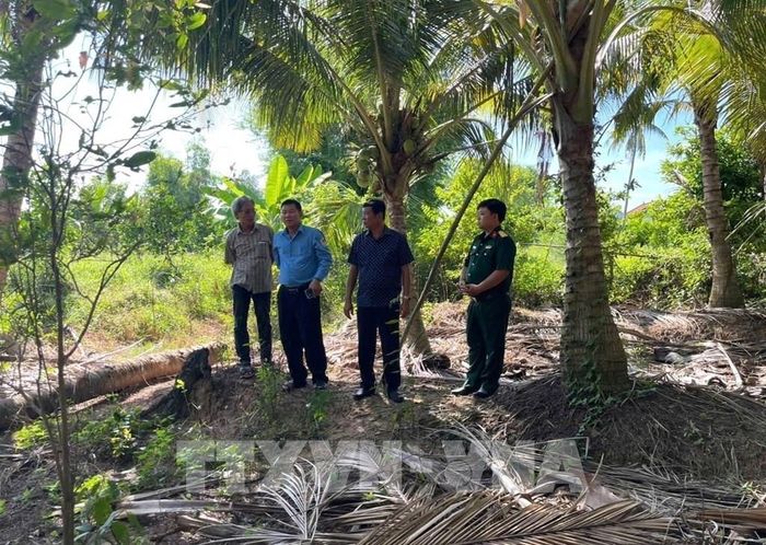 Sau khi xác minh thông tin, lãnh đạo Đội K91 đến khảo sát ngoài thực địa khu vực nghi ngờ có chôn cất hài cốt liệt sĩ. Ảnh: TTXVN phát