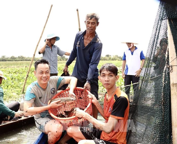 Các loại cá bắt được sau khi dỡ chà. Ảnh: Hồng Nhung - TTXVN