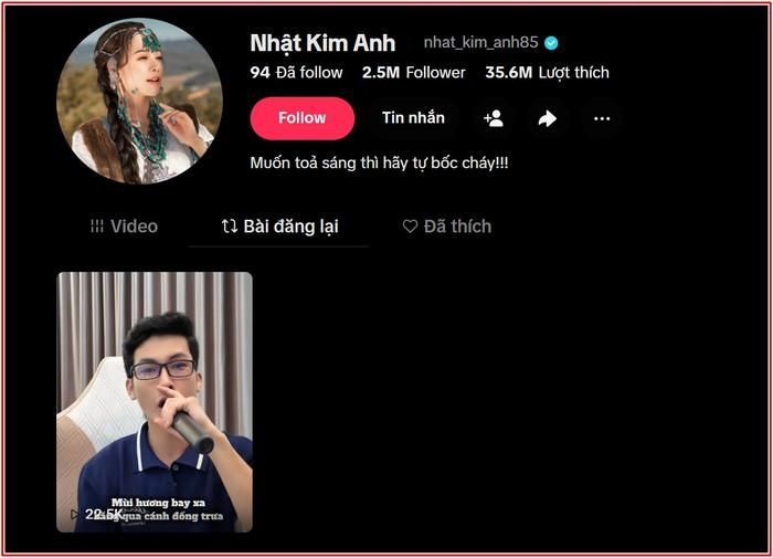 Nhật Kim Anh bày tỏ sự yêu thích dành cho ca khúc nhạc chế liên quan đến meme của mình từ ca sĩ Tiêu Minh Phụng.