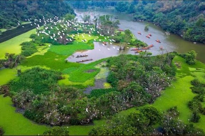 Vẻ đẹp của Thung Nham. Ảnh: Trung tâm Xúc tiến du lịch Ninh Bình.