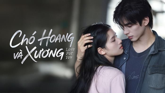 Phát sóng từ đầu tháng 7, Chó Hoang và Xương lựa chọn đề tài tình cảm đô thị kết hợp yếu tố ngược tâm. Bộ phim do Tống Uy Long và Trương Tịnh Nghi đóng chính, khai thác mối quan hệ giữa hai người không cùng huyết thống lớn lên trong một gia đình. Khi trưởng thành, Miêu Tịnh và Trần Dị tiếp tục đồng hành trong công việc, cùng điều tra các sai phạm về sổ sách và từng bước làm sáng tỏ những bí mật có khả năng thay đổi cuộc đời họ. Bên cạnh chuyện tình cảm, phim còn lồng ghép yếu tố điều tra và thương chiến.