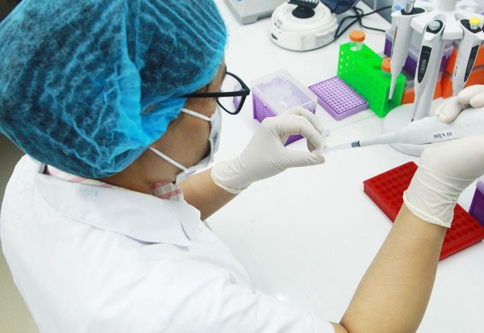 ThS. Đinh Thị Lan sử dụng máy điện di ADN để phân tách, xác định kích thước các đoạn ADN dựa trên tốc độ di chuyển của chúng qua bản gel