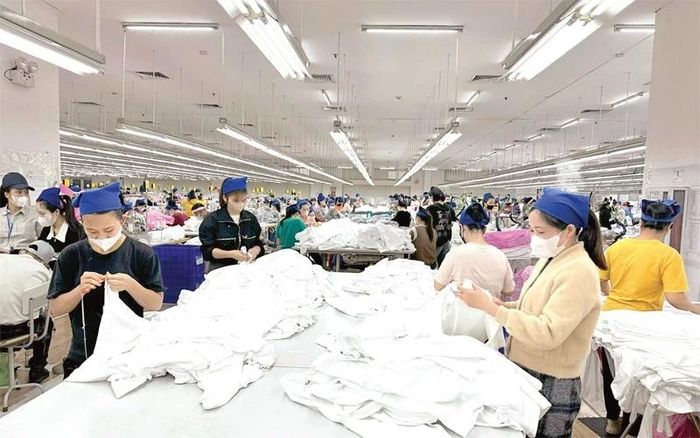 Công nhân Công ty TNHH Sakurai Việt Nam trong ca sản xuất.