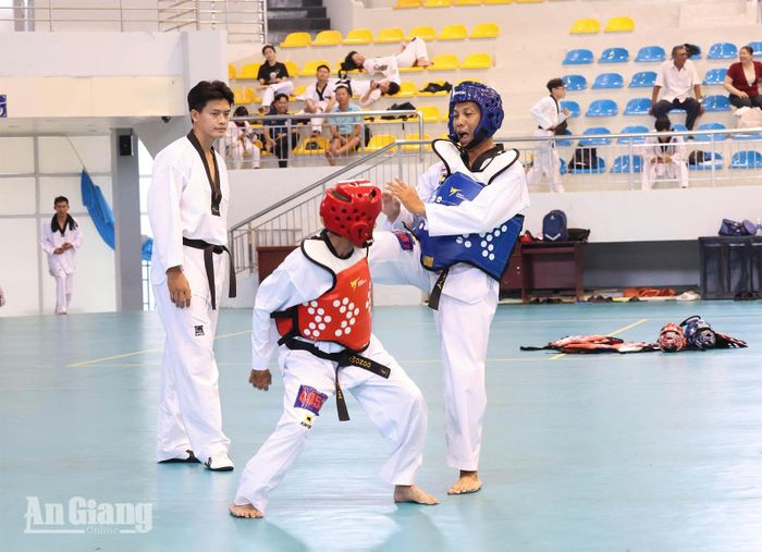 Các võ sinh tham gia kỳ thi thăng đẳng Taekwondo quốc gia khu vực miền Nam năm 2026. Ảnh: LÊ TRUNG HIẾU
