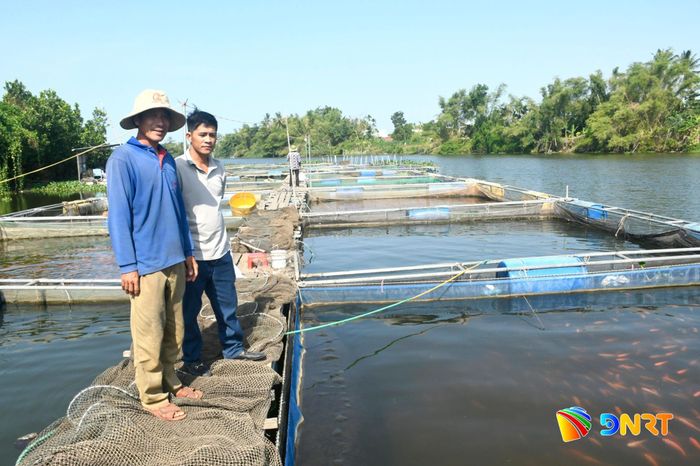 Ông Huỳnh Văn Luận (bên trái) và ông Trần Thanh Hà bên lồng bè nuôi cá điêu hồng và cá lăng nha dự kiến sẽ thu hoạch, xuất bán trước mùa mưa bão. Ảnh: QUANG VIỆT