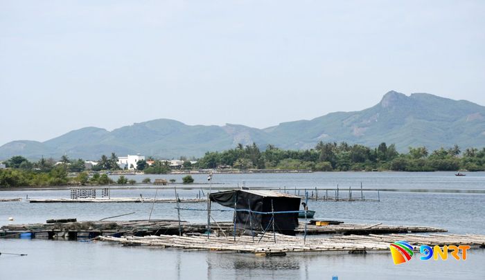 Một lồng bè nuôi cá ở khu vực Dự án nâng cấp, mở rộng khu neo đậu tránh trú bão cho tàu cá An Hòa kết hợp cảng cá Tam Quang. Ảnh: QUANG VIỆT