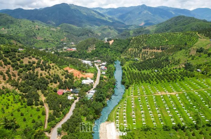 Thêm nhiều vùng trồng được cấp mã số, tạo điều kiện xuất khẩu. Ảnh minh họa
