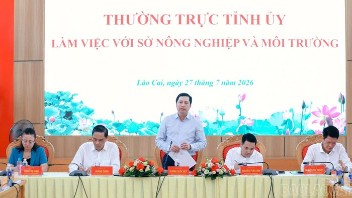 Đồng chí Dương Quốc Huy - Ủy viên Ban Chấp hành Trung ương Đảng, Bí thư Tỉnh ủy phát biểu tại buổi làm việc.