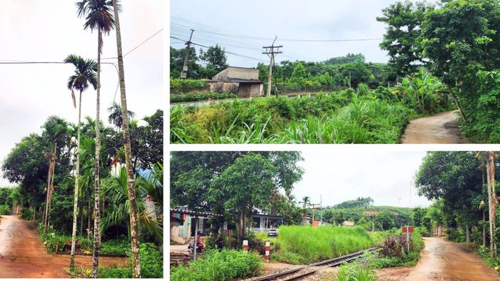 Nhiều hộ dân tại các thôn Liên Hải, An Khánh (xã Bảo Hà) tự dựng cột, kéo dây điện vượt qua tuyến đường sắt quốc gia Yên Viên - Lào Cai để phục vụ sinh hoạt, tiềm ẩn nguy cơ mất an toàn điện và an toàn giao thông đường sắt.